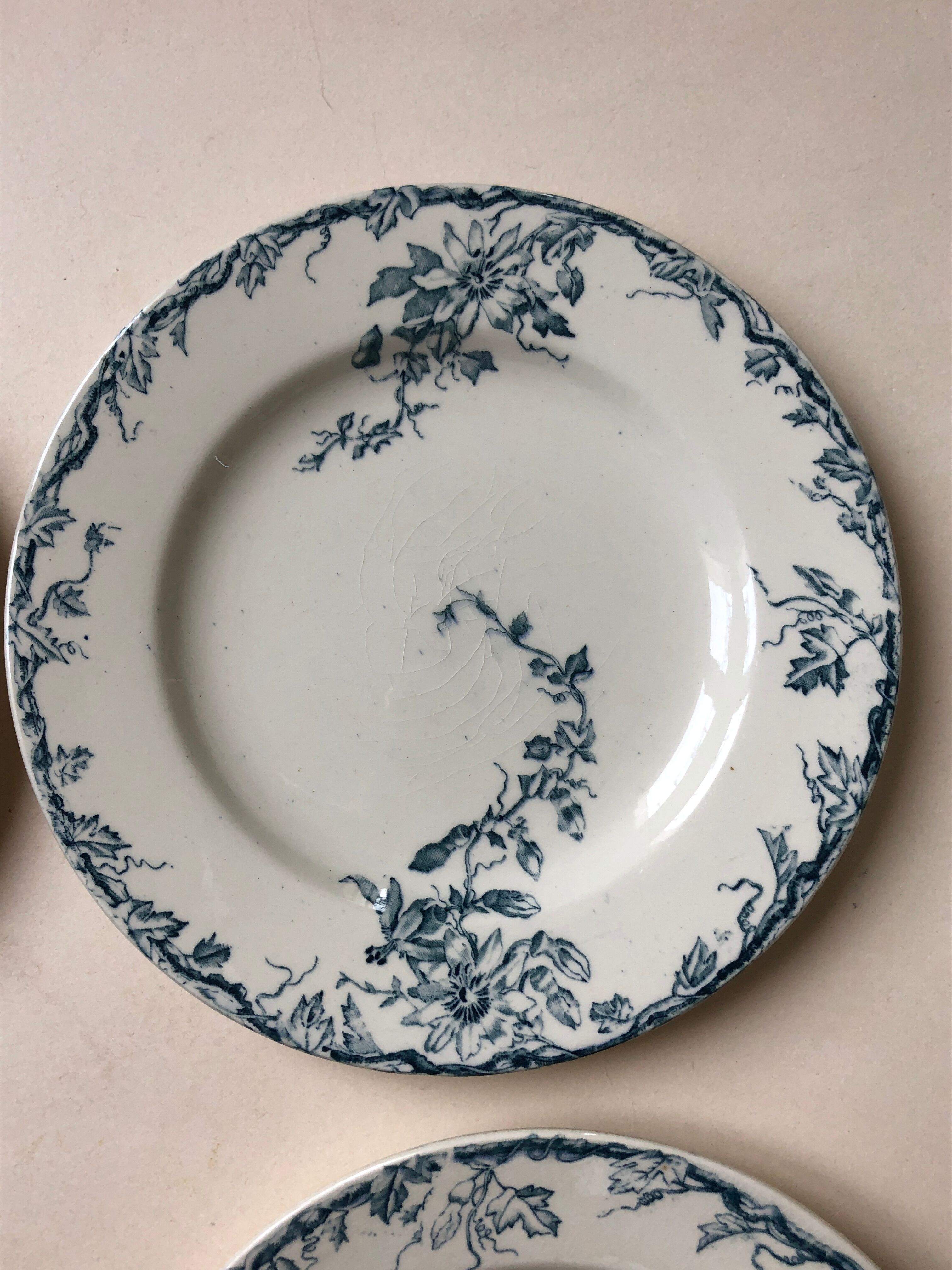 Set of 6 plates in faience Luneville model Passiflore
