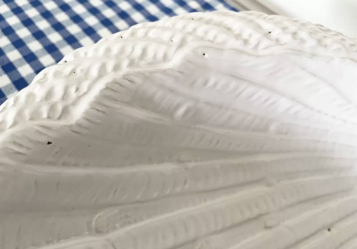 Shell bowl Italian art