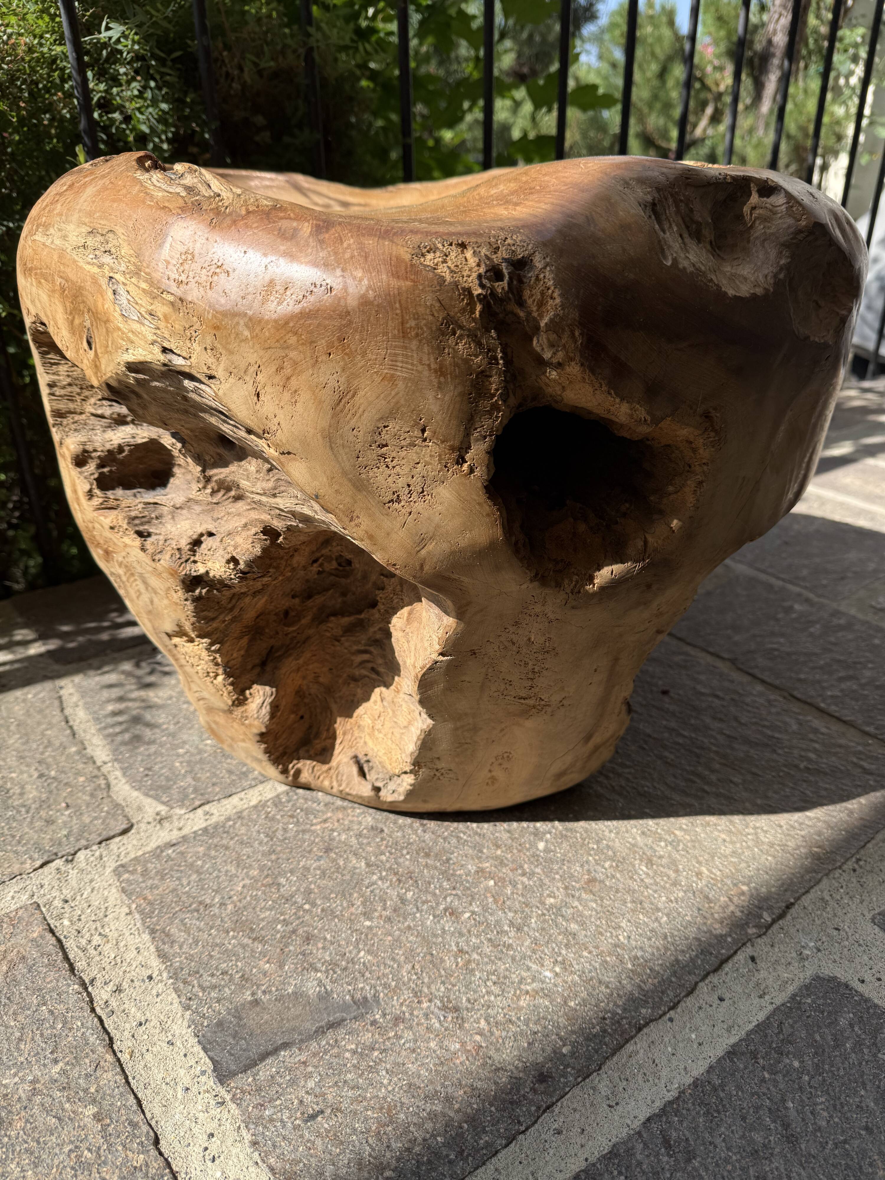 Olive root chair design