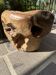 Tabouret en racine d'olivier