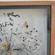 Three wooden frames with naturalized butterflies vintage 60s
