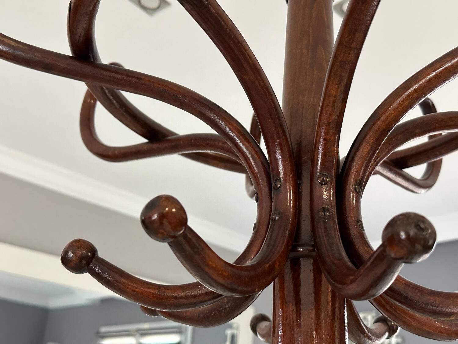 Parrot coat rack Thonet 1920s