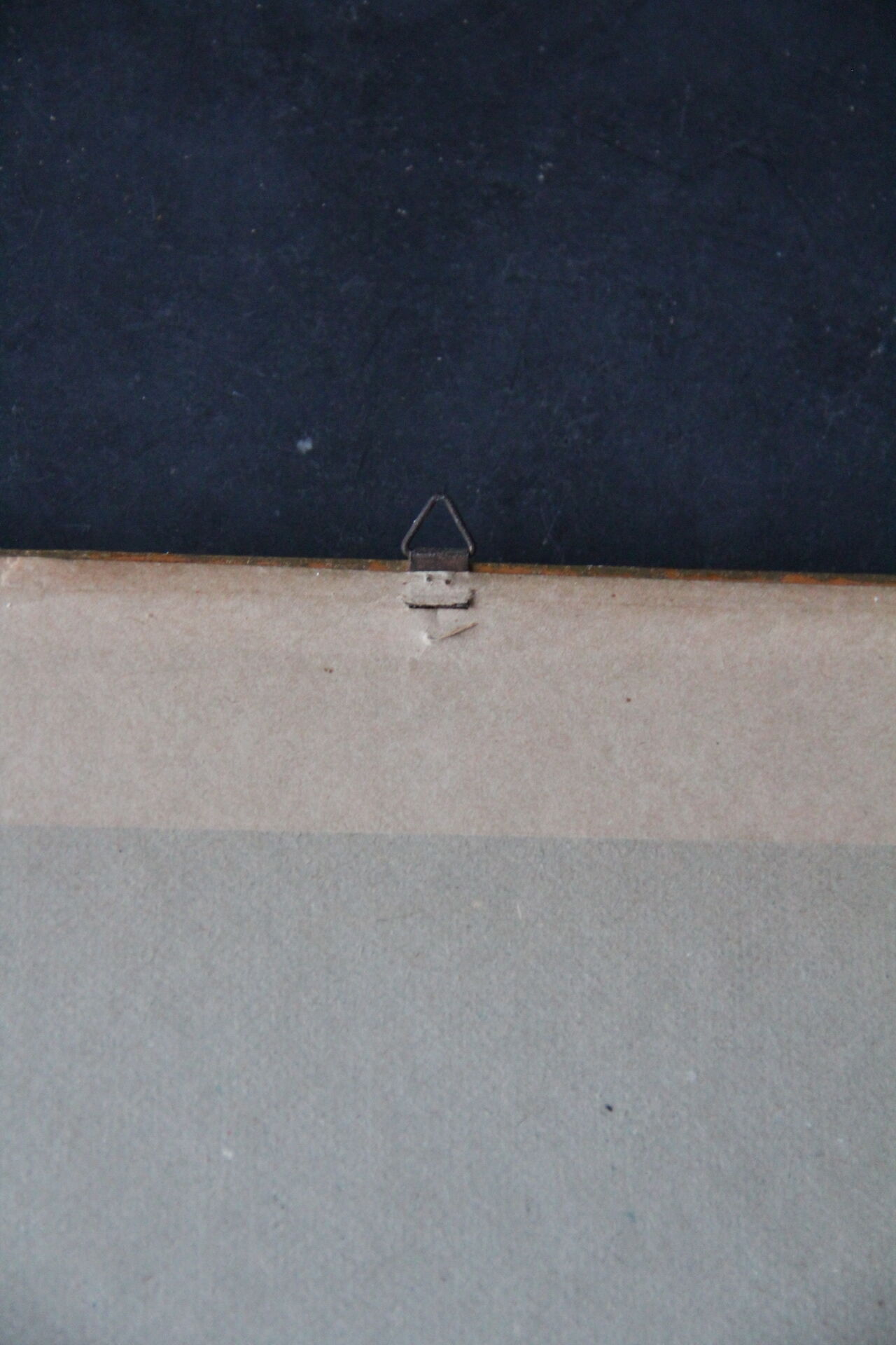 Framed engraving by PJ Redouté