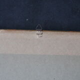 Framed engraving by PJ Redouté