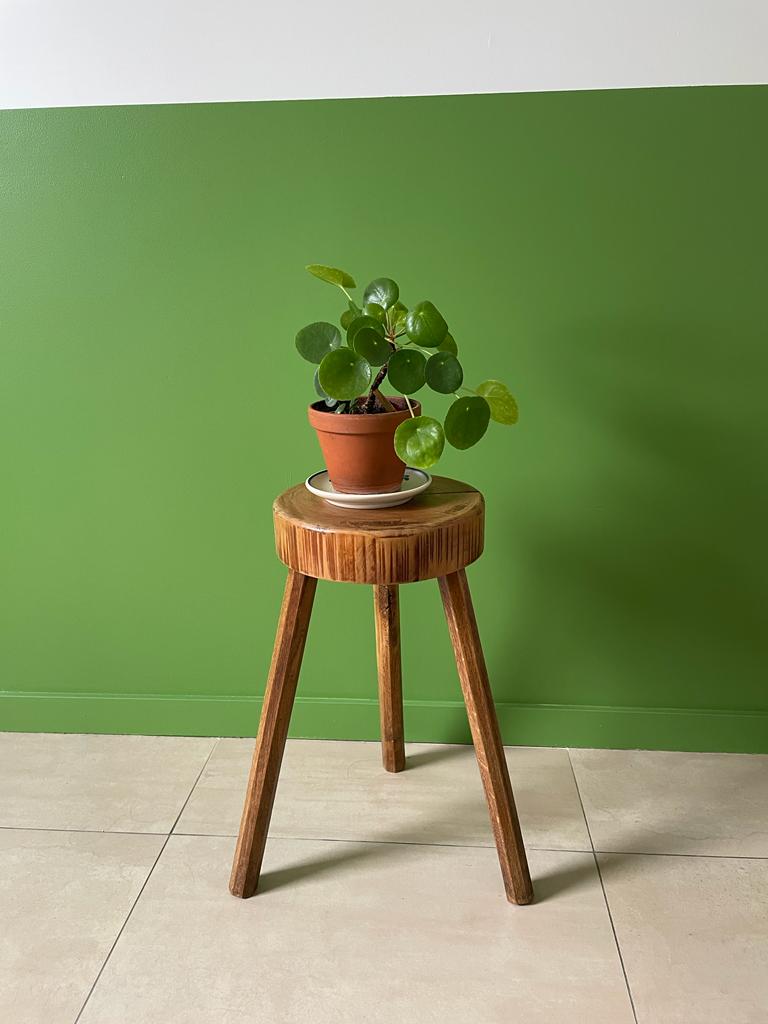Stool