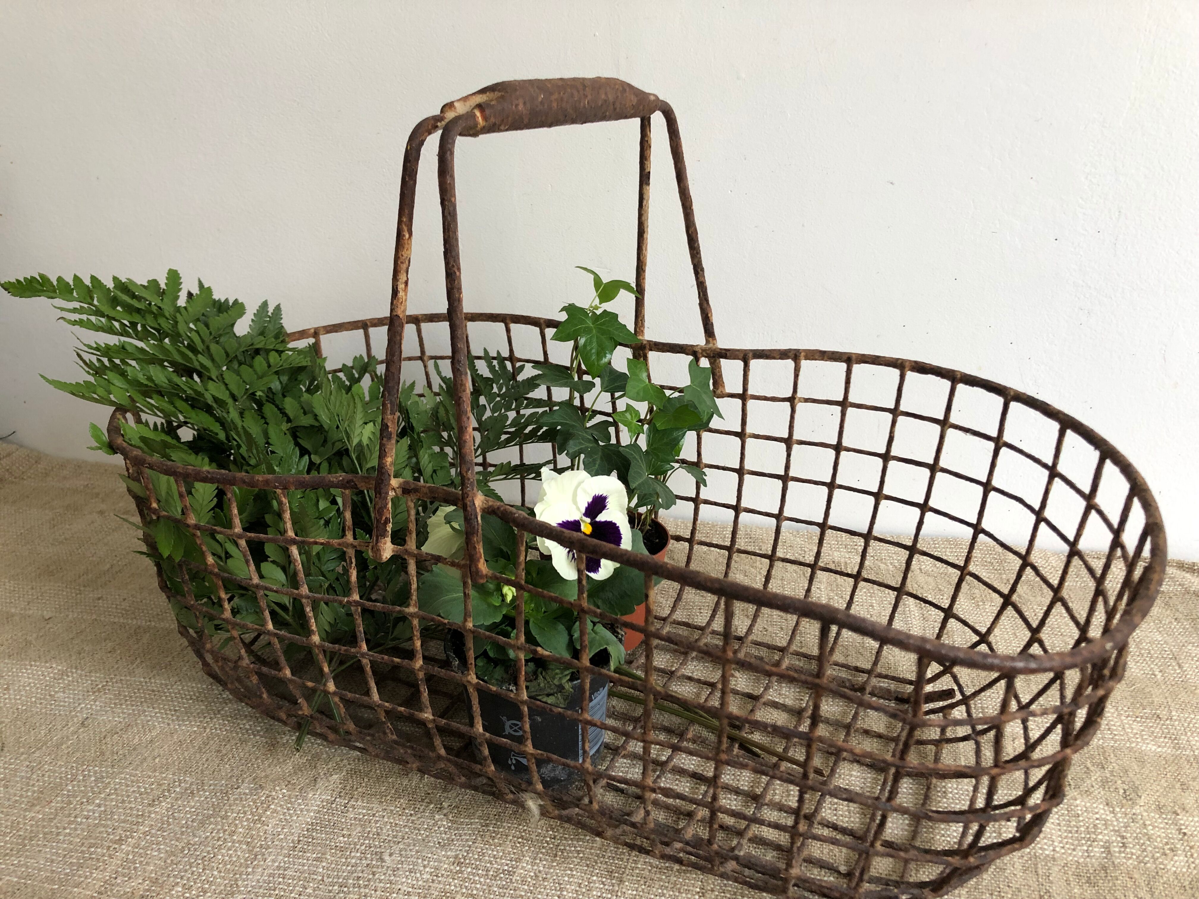 Garden mesh basket