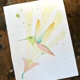 Hummingbird watercolor