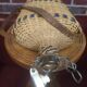 Pilgrim's gourd