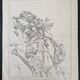 Louis John Endres (1896-1989) - Charcoal drawing on paper - Landscape Tizi N'Test Grand Atlas Morocco