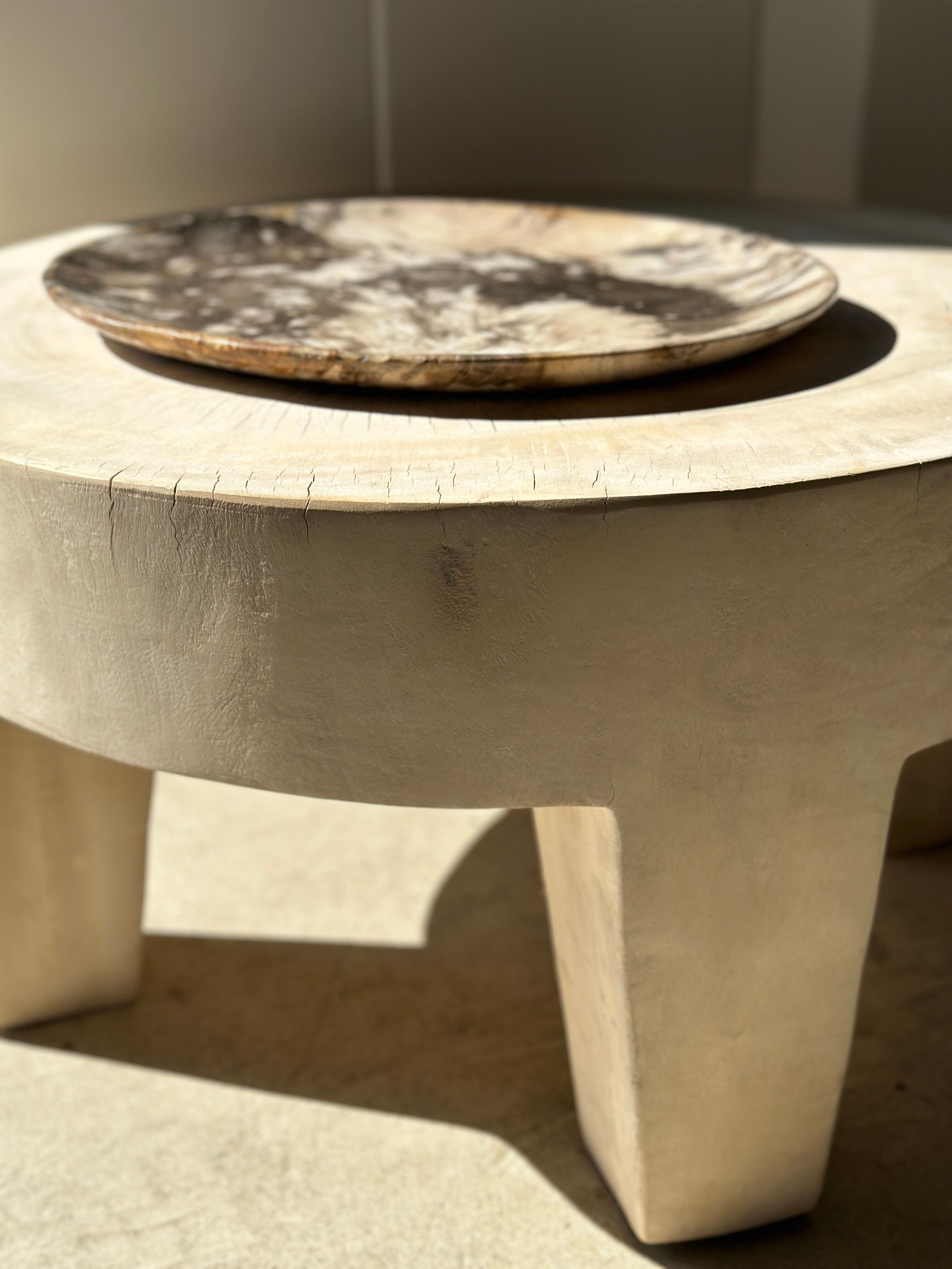 Very large empty pocket or petrified wooden flat