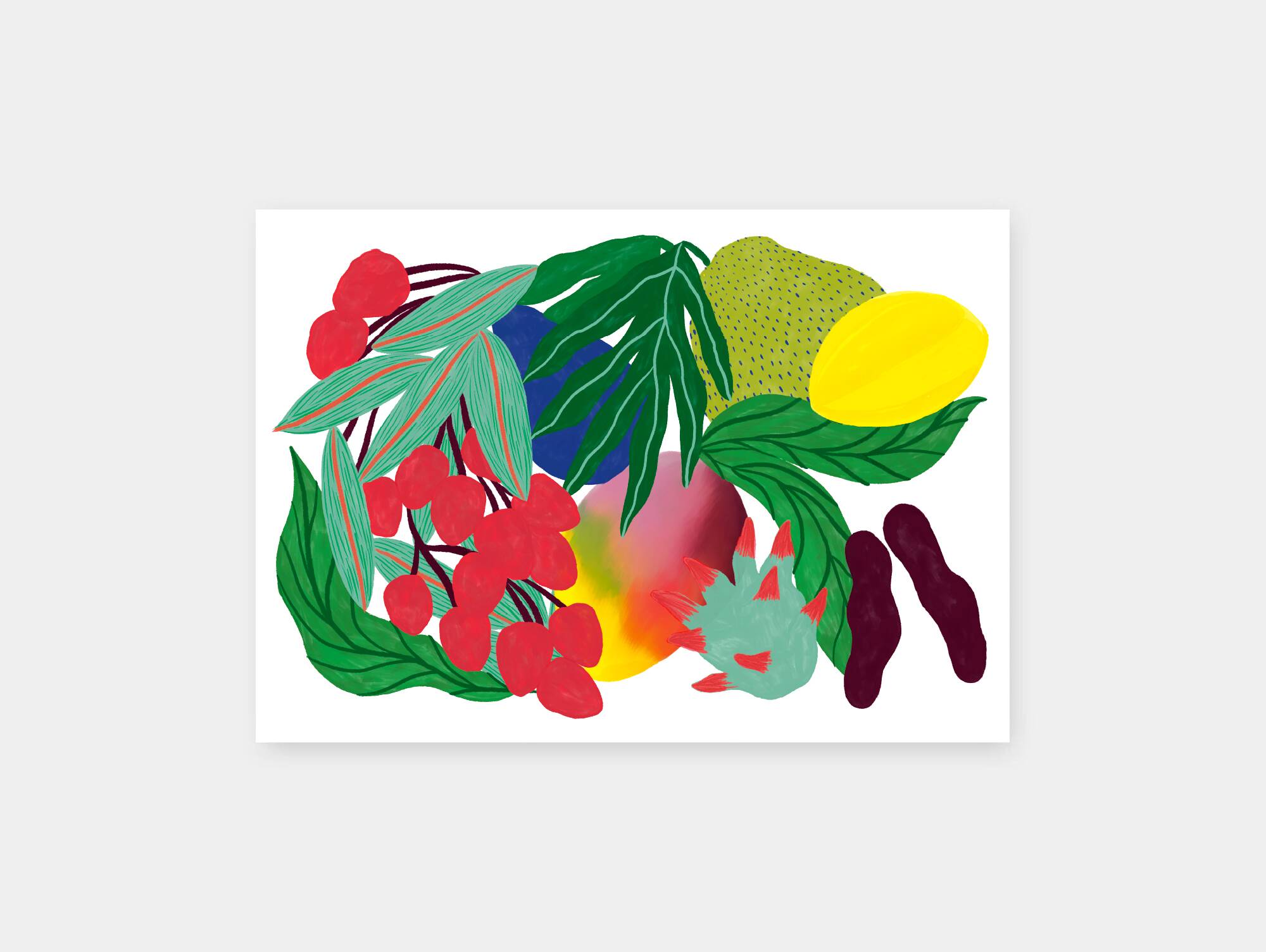 Tutti frutti - a4 illustration