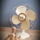 Fan Calor beige