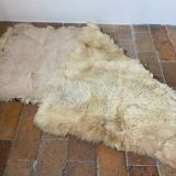Goat skin rug
