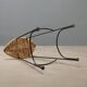 "Banana" stool by Tom Dixon for Cappellini