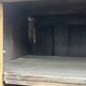 Louis XIV Style wardrobe, two doors, in oak