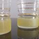 Old pitcher with its 8 yellow granite glasses with gold edging vintage 50's