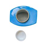 Snake porcelain inkwell with hand gold decoration