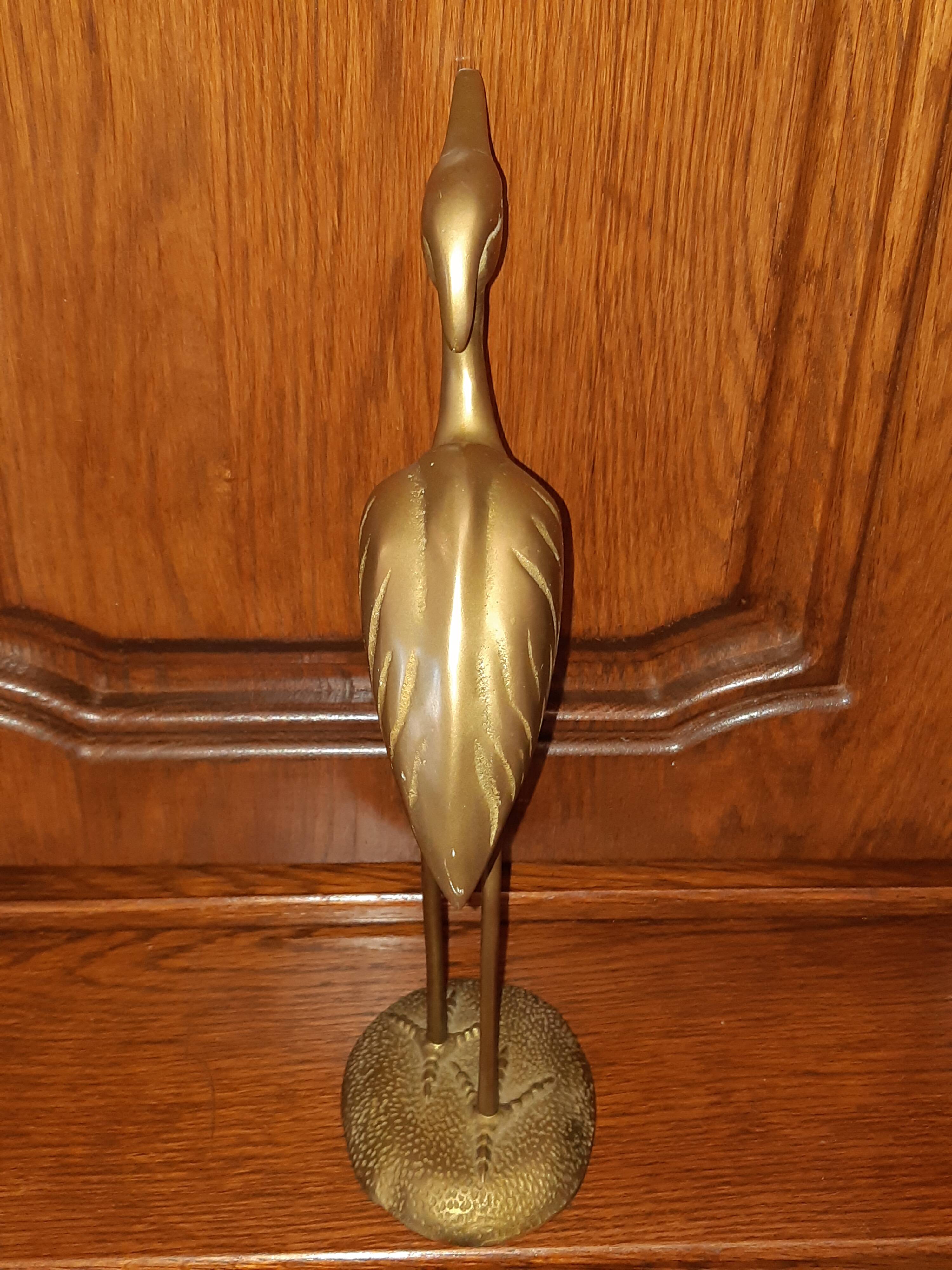 Brass-bronze egret bird