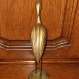 Brass-bronze egret bird