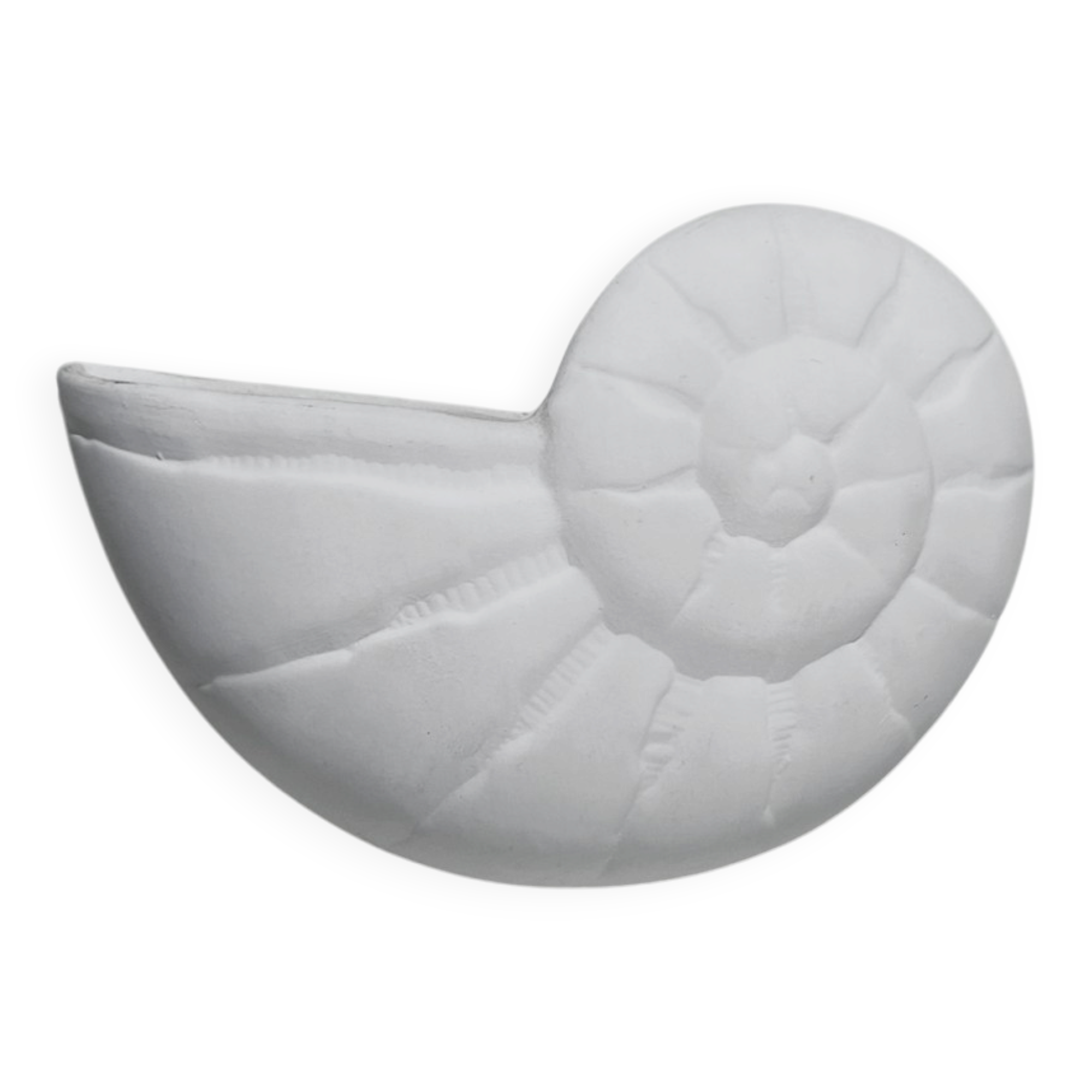 Nautilus Wall Lamp