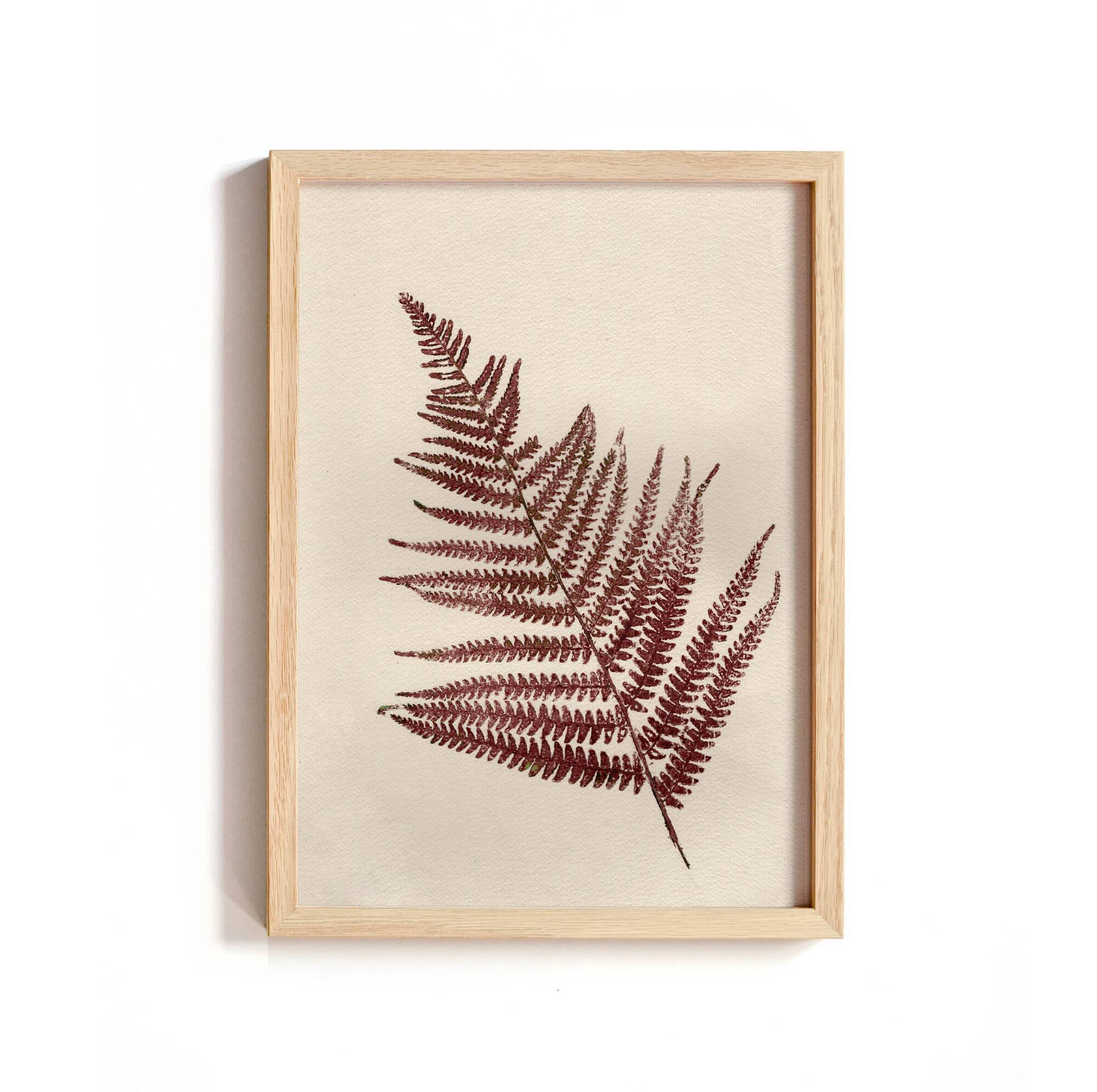 Collection de peintures herbiers sur papier signées Eawy