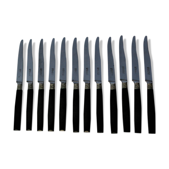 12 dessert knives hors d'oeuvre cheese- handle ebène