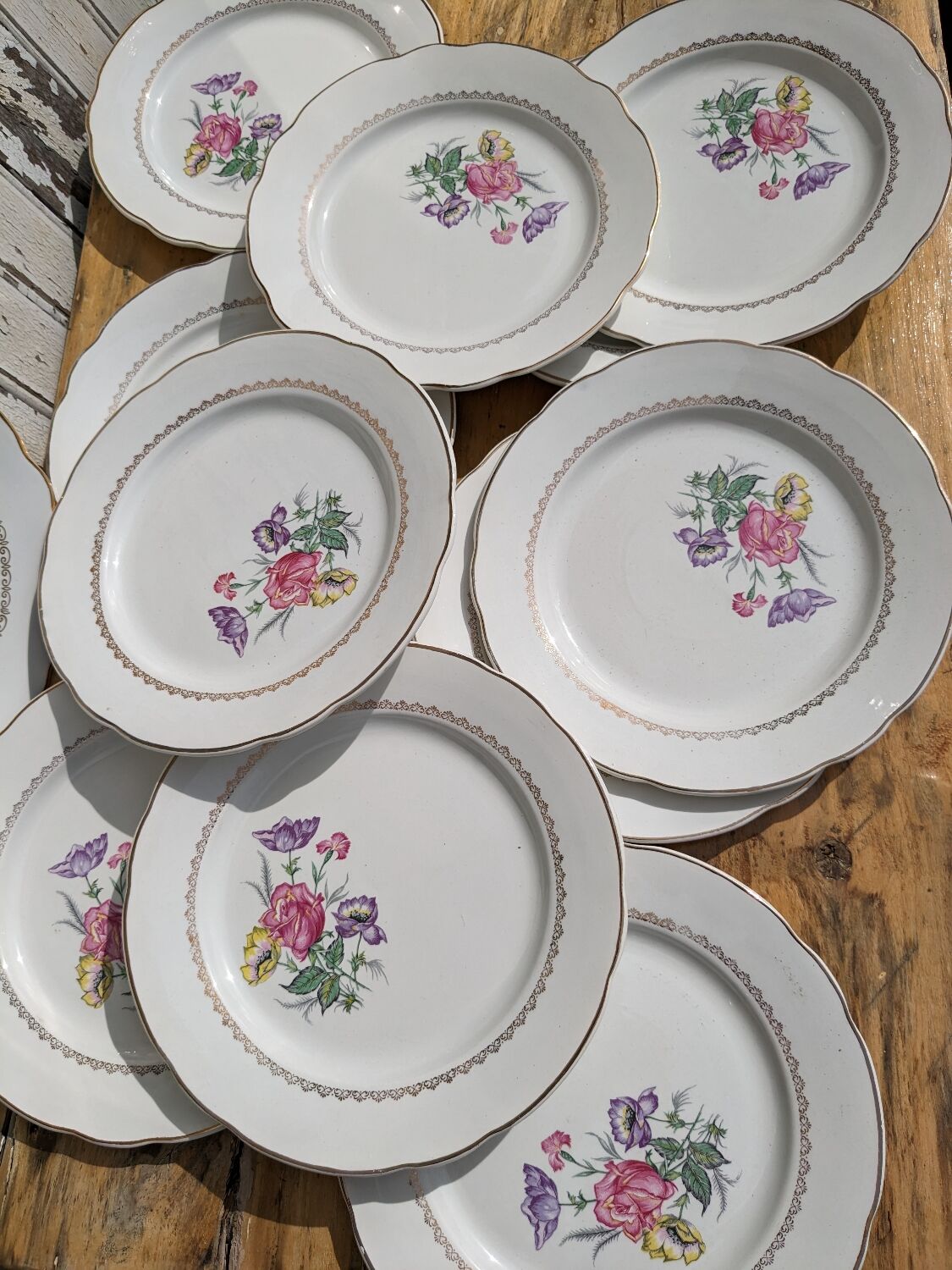 Set of 12 flat plates Digoin Sarreguemines