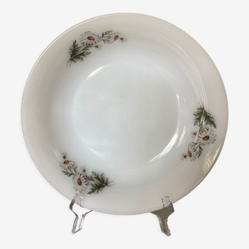 Plat rond arcopal marguerites