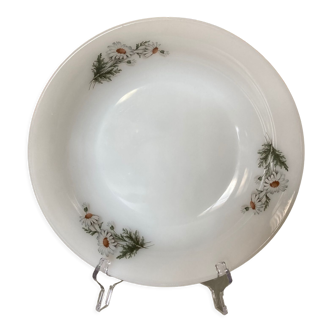 Round dish arcopal daisies