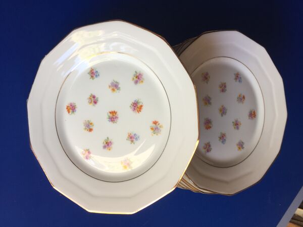 12 assiettes et plat de présentation