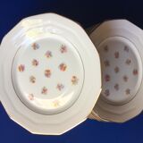 12 plates and presentation dish