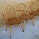 Série de 4 chaises « Windsor » par L. Ercolani pour les éditions Ercol