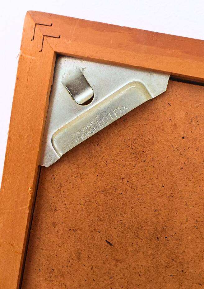 Pair of Botanical Plates 1905 – Peach & Pear – Poiteau