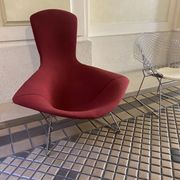 Fauteuil Bertoia Bird édition Knoll 1970