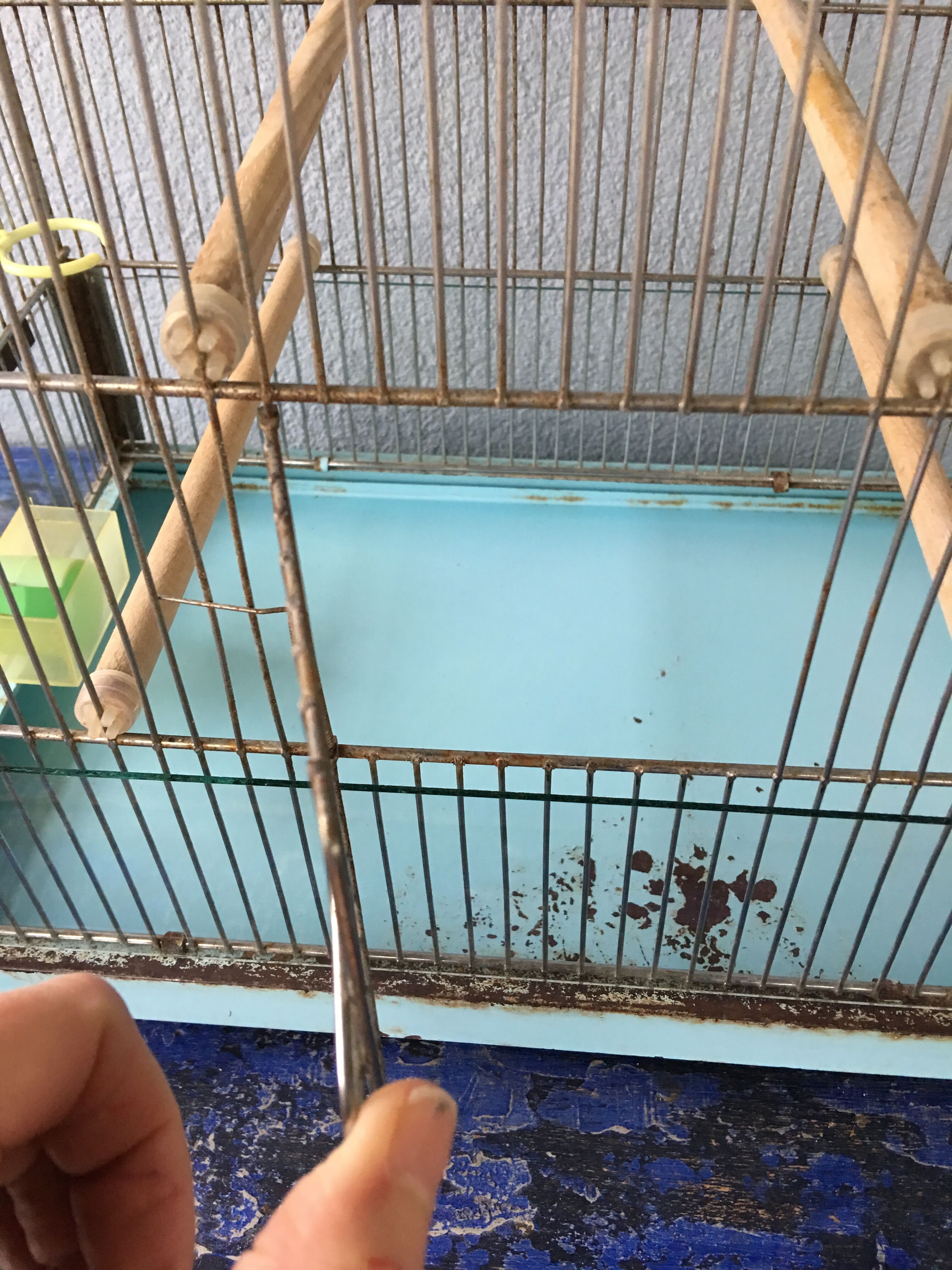 Vintage birdcage
