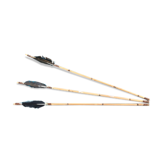 Series of 3 bamboo arrows and feathers