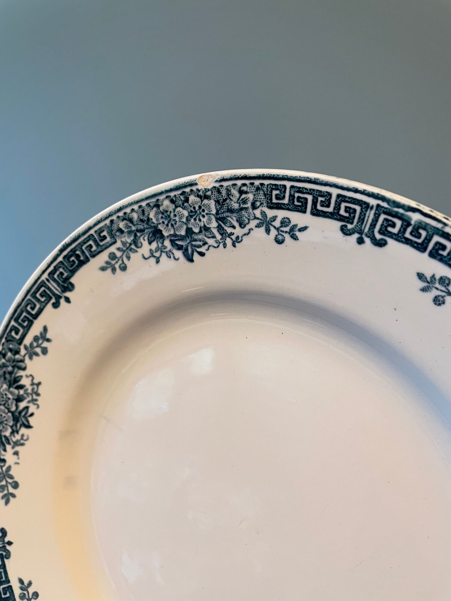 Set of 11 flat plates Terre de Fer in Earthenware of St Amand, model Lucy