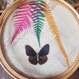 Butterfly tray