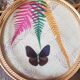 Butterfly tray