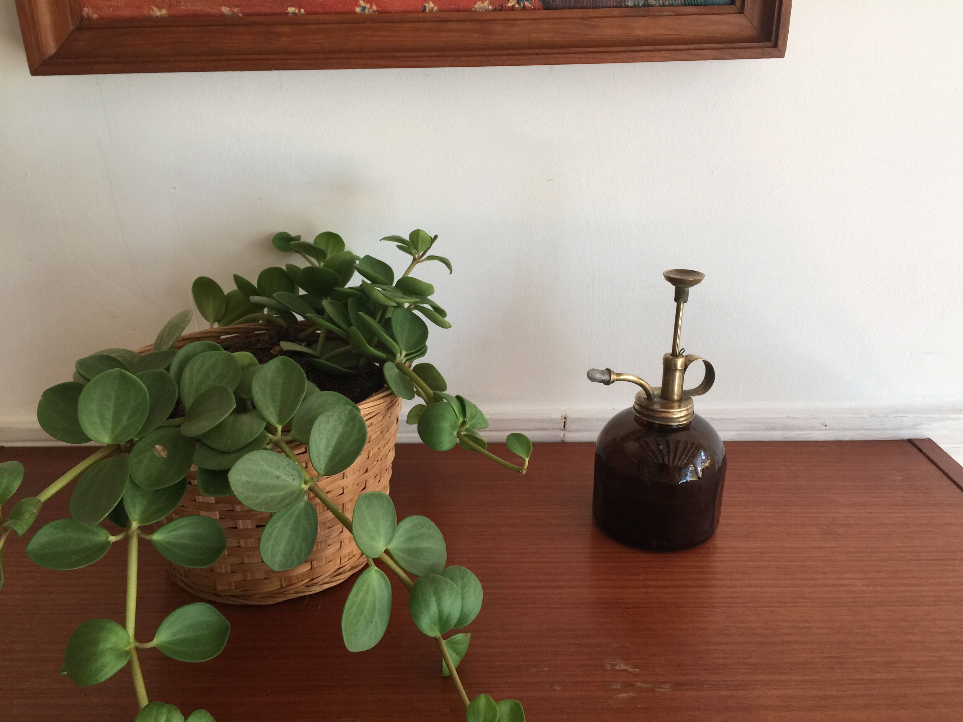Brass plant and glass spray