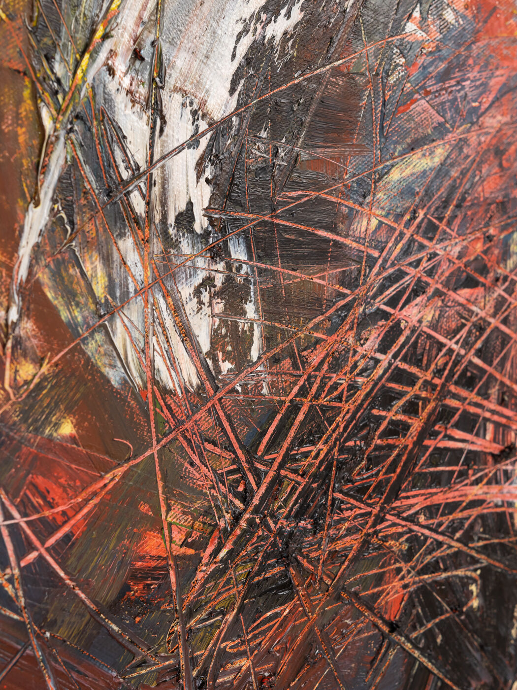 Fly, Oil on Canvas, 50 x 70 cm