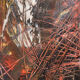Fly, Oil on Canvas, 50 x 70 cm