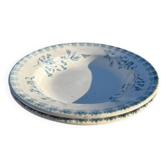 2 assiettes creuses en terre de fer à motifs floraux
