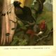 Old engraving from 1904 - Birds of paradise - tropical animal zoology