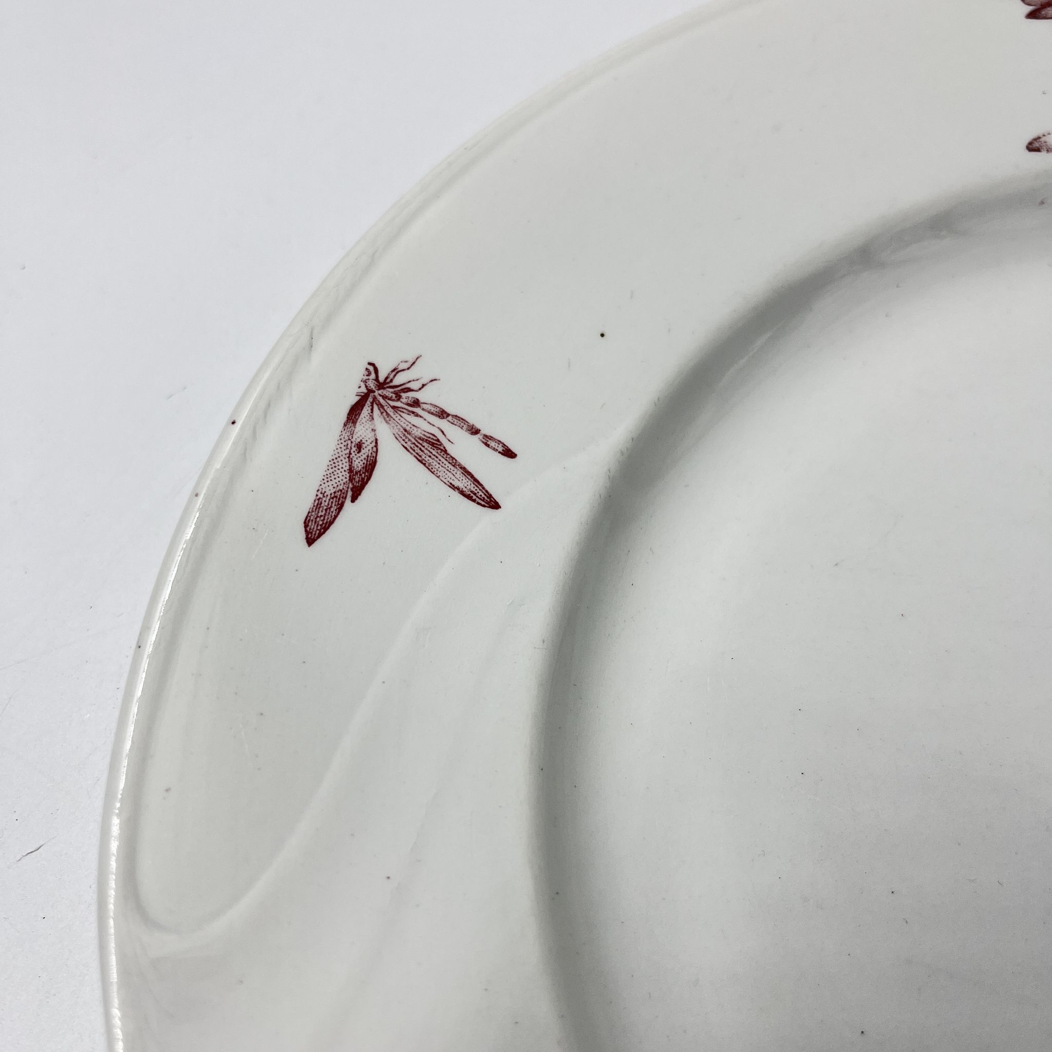 Lot de deux assiettes Royal impérial Nimy