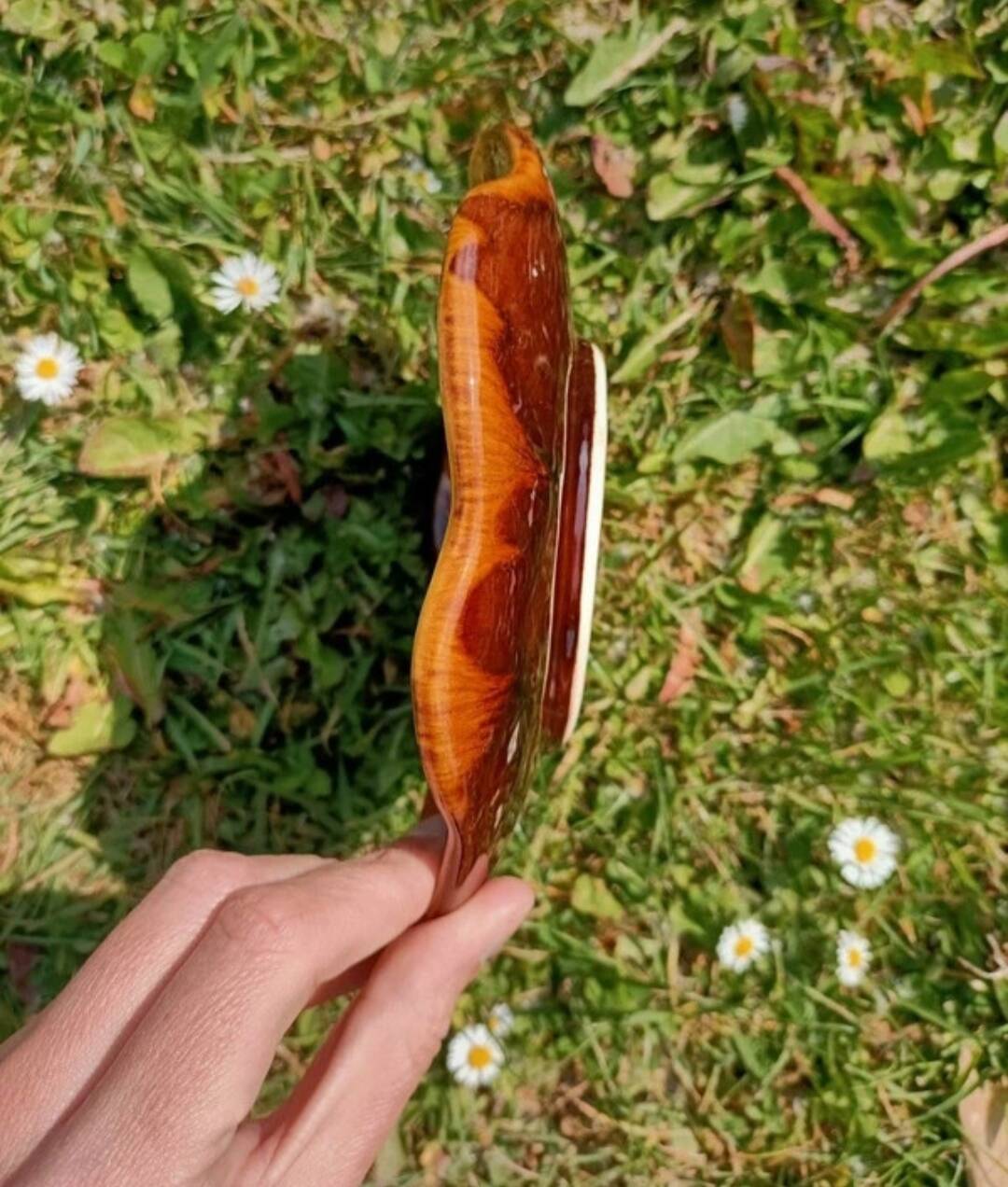 Vallauris pocket emptier