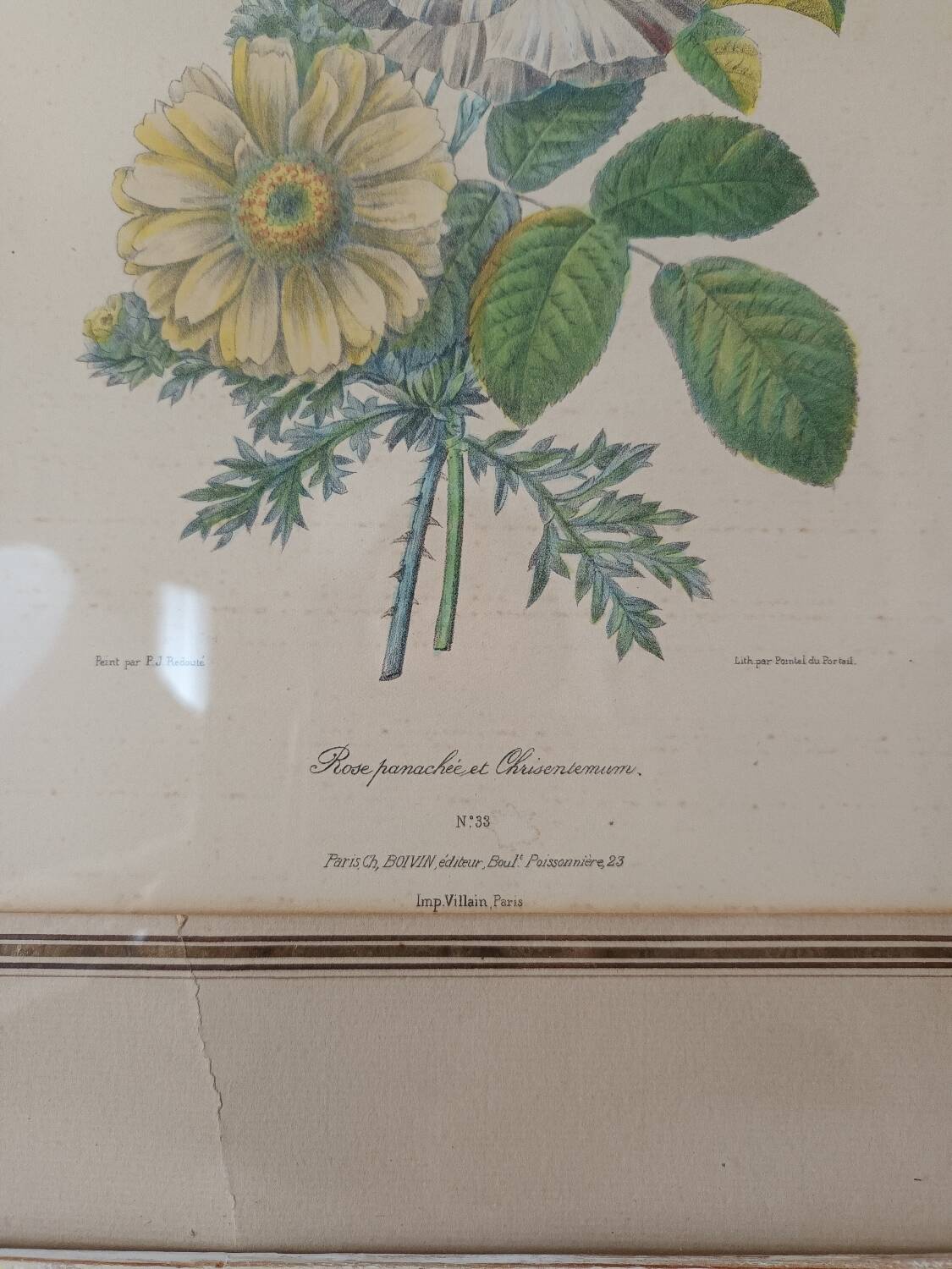 Vintage Redouté Botanical Lithograph