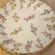 Six assiettes Louis XV de Sarreguemines
