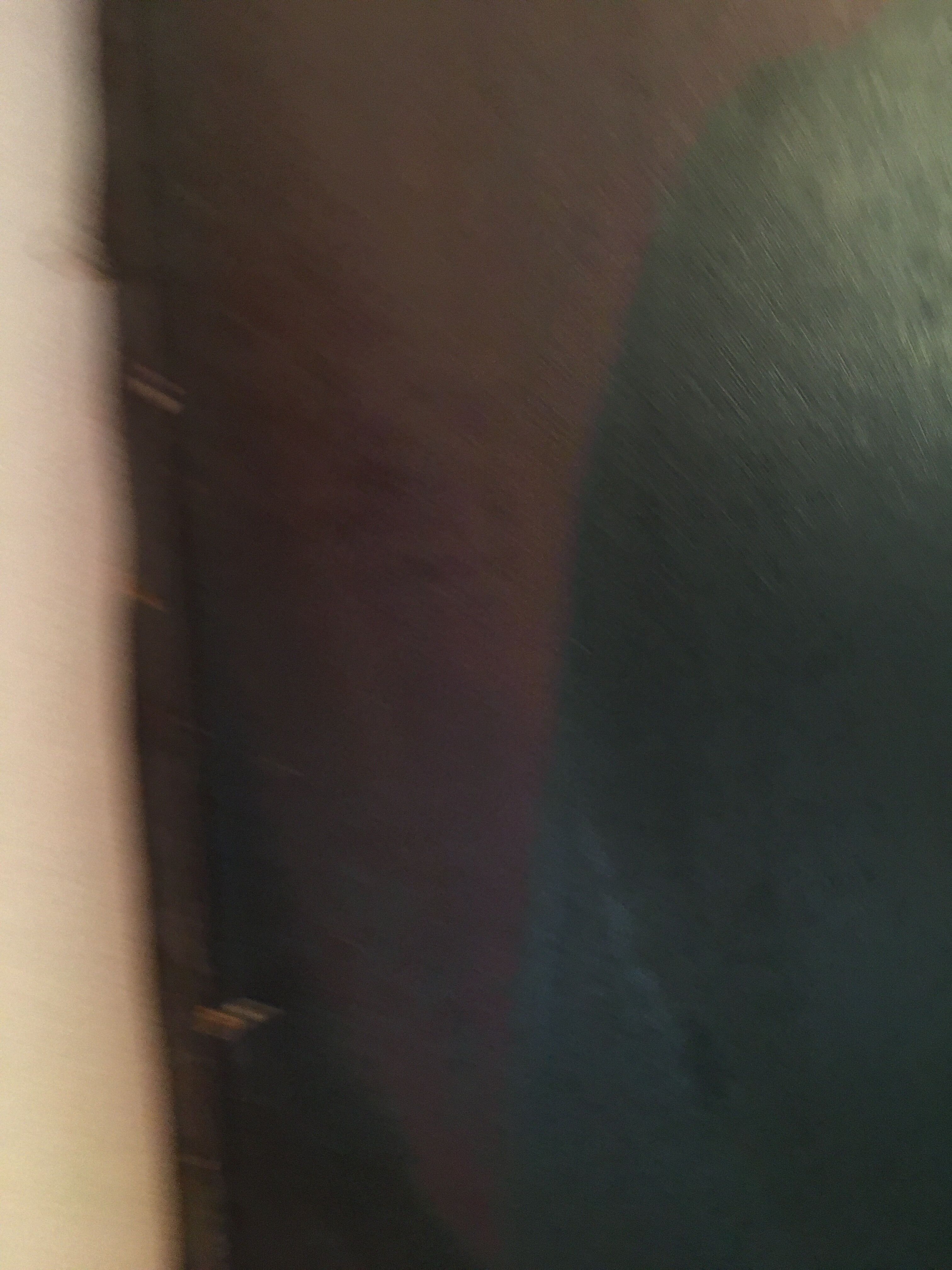 Old portrait of a woman in the late nineteenth century