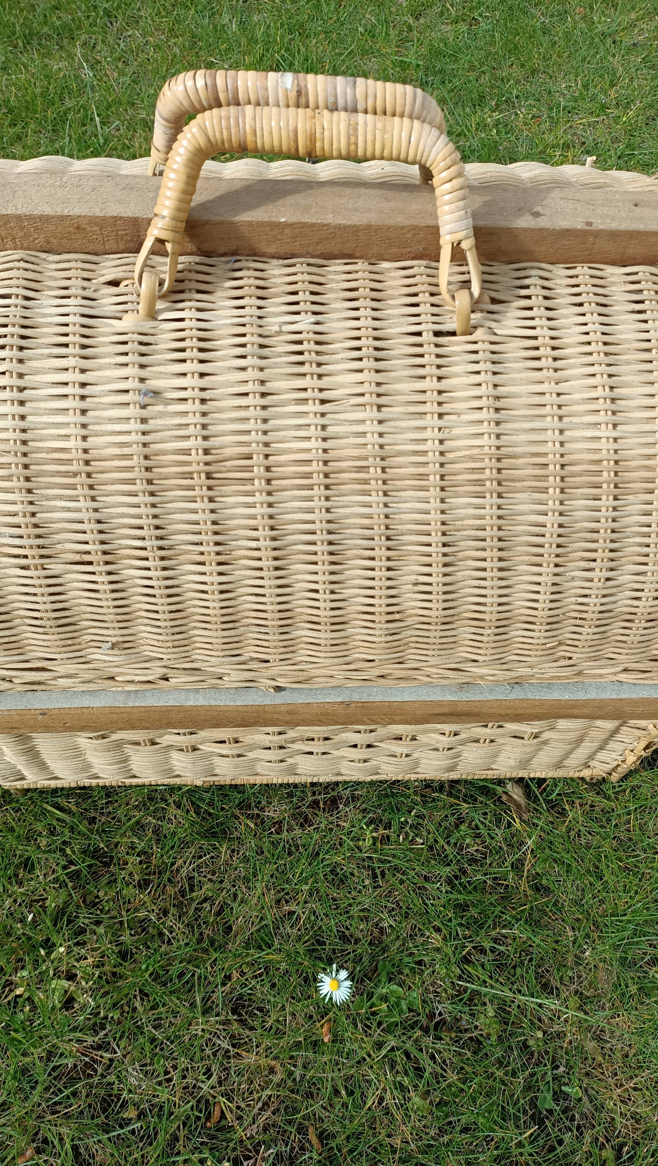 Cat transport basket
